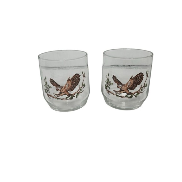 Vintage American Wildlife Low Ball Glasses Sunoco - Spotted Owl  - Set of Two - Picture 1 of 8